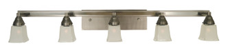Mercer Five Light Wall Sconce in Satin Pewter with Polished Nickel (8|4775 SP/PN)