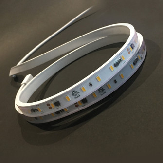 LED Tape in White (509|V120-HO-30-XXX-X)