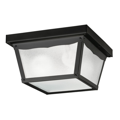 Outdoor Miscellaneous Two Light Outdoor Ceiling Mount in Black (12|345BK)