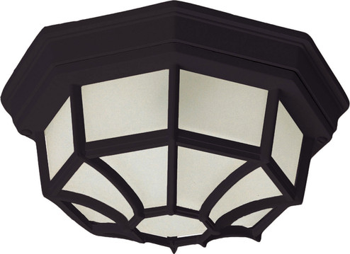 Crown Hill Two Light Outdoor Ceiling Mount in Black (16|1020BK)