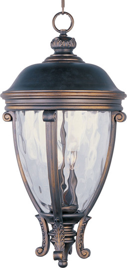 Camden VX Three Light Outdoor Hanging Lantern in Golden Bronze (16|41429WGGO)