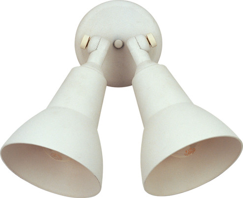 Spots Two Light Outdoor Wall Lantern in White (16|92008WT)