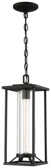 Trescott One Light Chain Hung Lantern in Coal (7|72474-66)