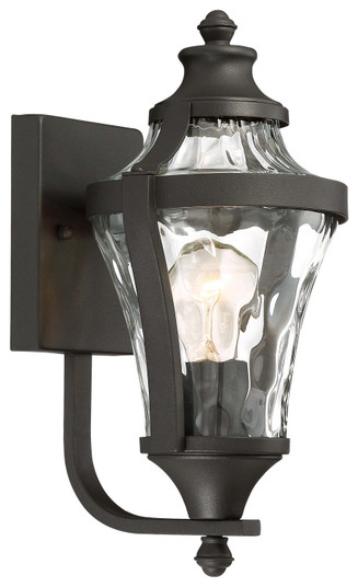 Libre One Light Outdoor Wall Lamp in Coal (7|72561-66)