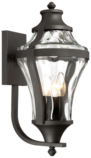 Libre Four Light Outdoor Wall Lamp in Coal (7|72563-66)