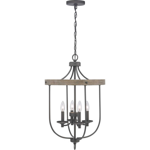 Gulliver Four Light Foyer Pendant in Graphite (54|P500157-143)