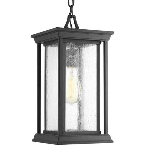 Endicott One Light Hanging Lantern in Black (54|P5500-31)