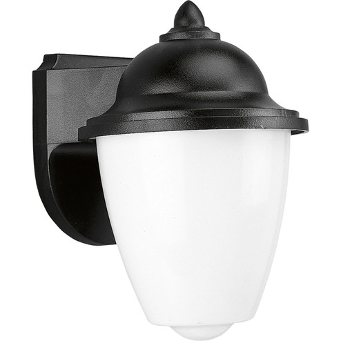 Polycarbonate Outdoor One Light Wall Lantern in Black (54|P5844-31)