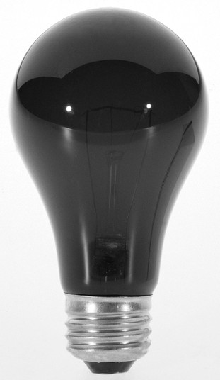 Light Bulb in Black (230|S3920)
