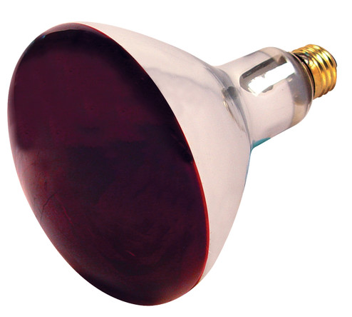 Light Bulb in Red Heat (230|S4998)