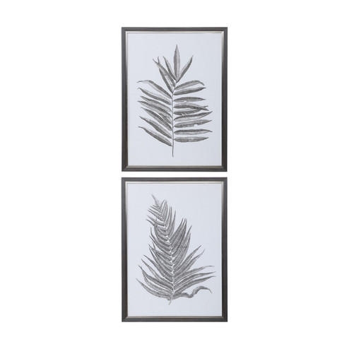 Silver Ferns Wall Art in Aged Black And Gray (52|33685)