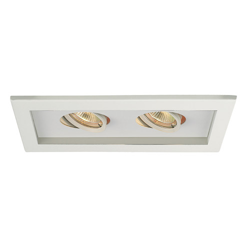 Mr16 Multiples LED Trim in White/White (34|MT-216-WT/WT)