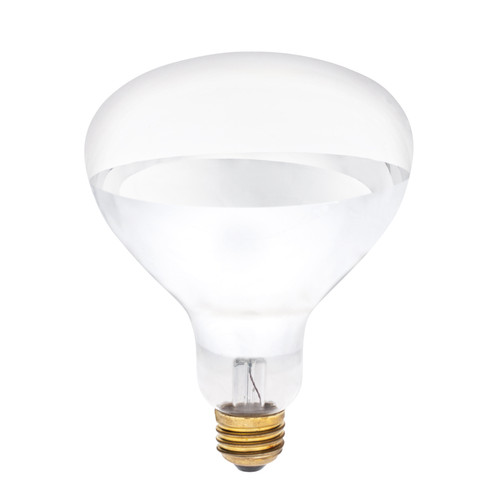 Light Bulb Light Bulb in Clear (88|0391800)