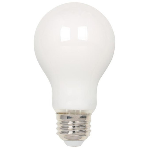 Light Bulb in Soft White (88|5016300)