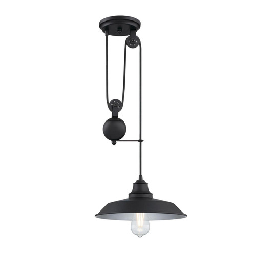 Iron Hill One Light Pendant in Matte Black (88|6129300)