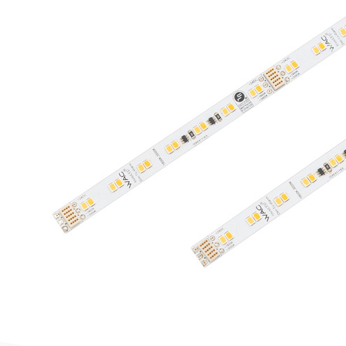 Invisiled Dim To Warm LED Tape Light in White (34|T24-WD2-20-1830WT)