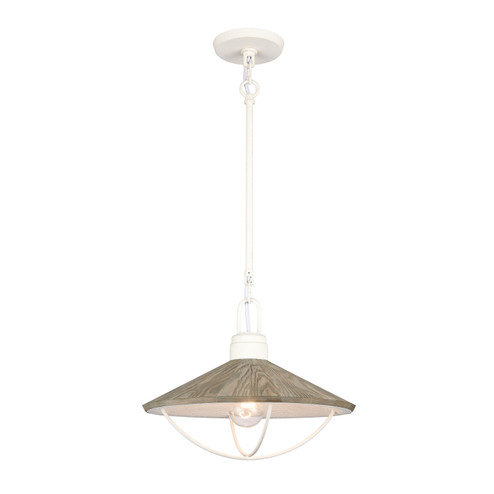 Cape May One Light Pendant in White Coral (45|63157/1)
