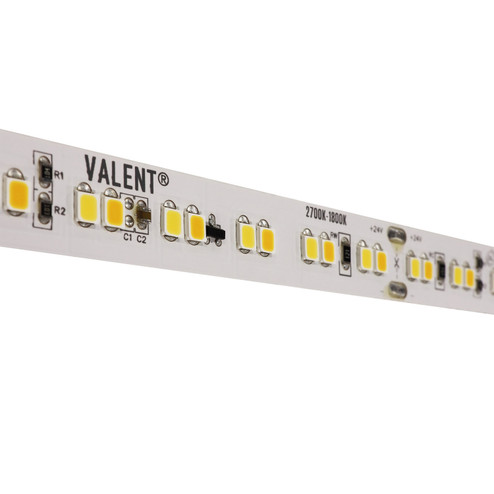 LED Tape Light (399|DI-24V-VL4-WD2718-100)