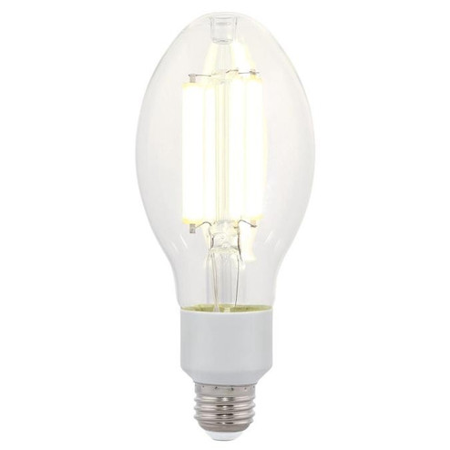 Light Bulb in Clear (88|5251000)