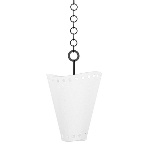 Visalia One Light Pendant in Forged Iron (67|F3514-FOR/GSW)