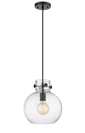 Newton One Light Mini Pendant in Matte Black (405|410-1PM-BK-G410-10SDY)