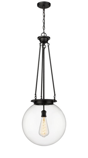 Essex One Light Pendant in Matte Black (405|221-1P-BK-G202-16)