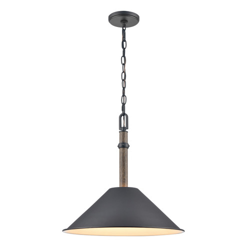 Neville One Light Pendant in Charcoal Black (45|89705/1)