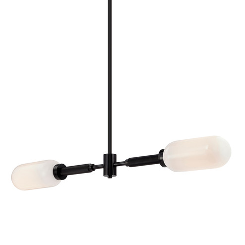 Annex Two Light Linear Pendant in Anodized Black (67|F7356-AN)