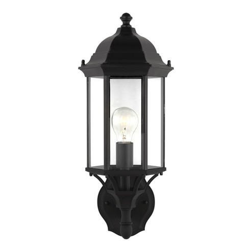 Sevier One Light Outdoor Wall Lantern in Black (1|8838701-12)