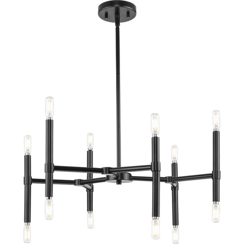 Arya 12 Light Chandelier in Matte Black (54|P400339-31M)