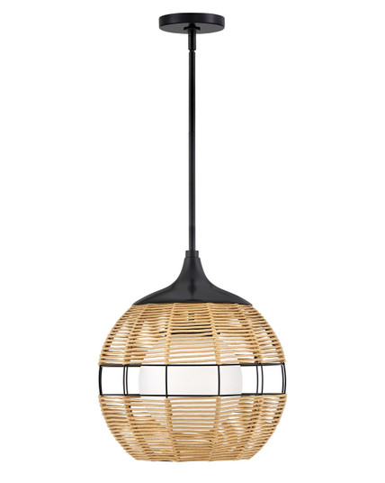 Maddox LED Pendant in Black (13|19677BK-NAT)