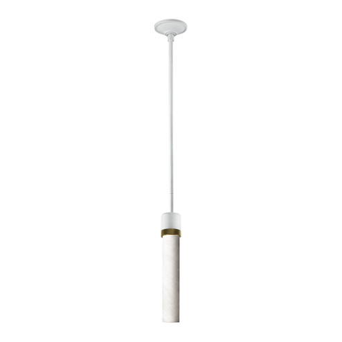 Zigrina One Light Pendant in Matte White (360|P11706-E26-MW-K-AGB-G9)