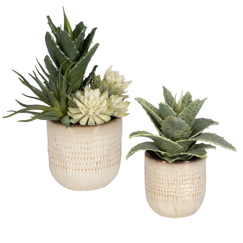 Seaside Succulents Succulents, Set/2 in Glazed In Neutral Tan (52|60208)