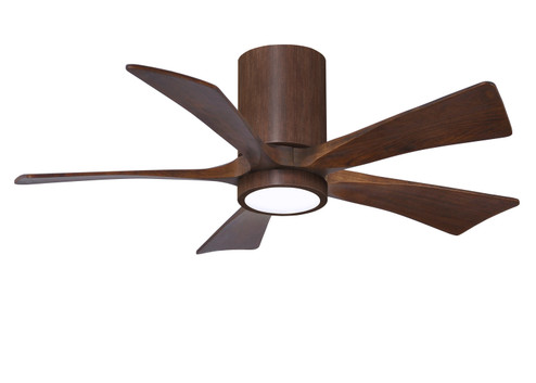 Irene 42''Ceiling Fan in Walnut Tone (101|IR5HLK-WN-WA-42)