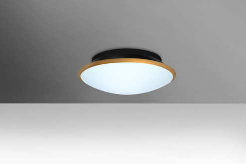 Silk 10 One Light Ceiling Mount (74|SILK10GDC)