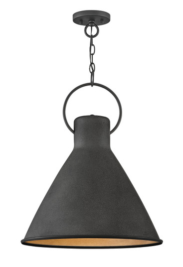 Winnie LED Pendant in Aged Zinc (13|3555DZ)