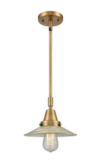 Caden LED Mini Pendant in Brushed Brass (405|447-1S-BB-G2-LED)