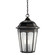 Courtyard Three Light Outdoor Pendant in Rubbed Bronze (12|9539RZ)