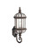 Barrie One Light Outdoor Wall Mount in Tannery Bronze (12|9736TZ)