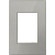 Adorne Gang Wall Plate in Brushed Stainless (246|AWM1G3MS4)