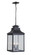 Drake Four Light Outdoor Hanging Lantern in Black (90|313212)