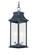 Vicksburg Two Light Outdoor Hanging Lantern in Black (16|30029CLBK)