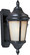 Odessa One Light Outdoor Wall Lantern in Espresso (16|3013LTES)