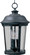 Dover DC Three Light Outdoor Hanging Lantern in Bronze (16|3029CDBZ)