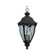 Morrow Bay VX Three Light Outdoor Hanging Lantern in Earth Tone (16|40291WGET)