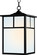 Coldwater One Light Outdoor Hanging Lantern in Black (16|4058WTBK)
