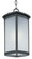 Terrace LED E26 LED Outdoor Hanging Lantern in Bronze (16|65759FSBZ)