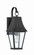 Chateau Grande One Light Outdoor Wall Mount in Coal W/Gold (7|72781-66G)