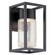 Structure LED Outdoor Wall Sconce in Black (281|WS-W5411-BK)
