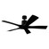 Aviator 5 54''Ceiling Fan in Matte Black (441|FR-W1811-5-MB)
